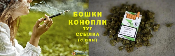 мдпв Ельня