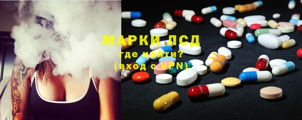 мдпв Ельня