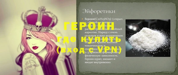 мдпв Ельня
