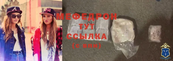 мдпв Ельня