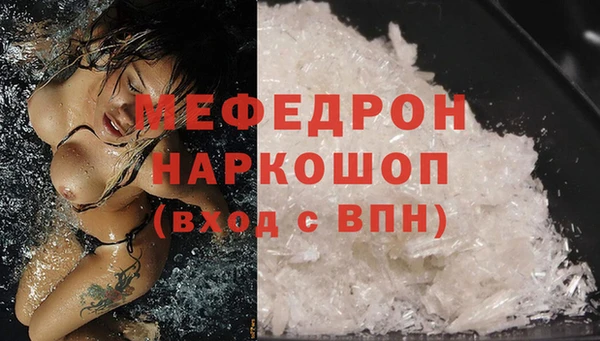 мдпв Ельня