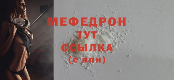 мдпв Ельня
