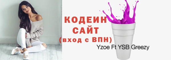 мдпв Ельня