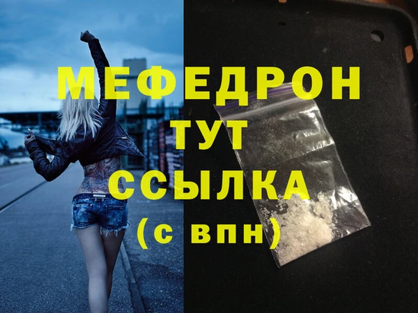 мдпв Ельня