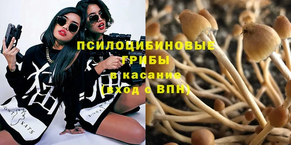 мдпв Ельня