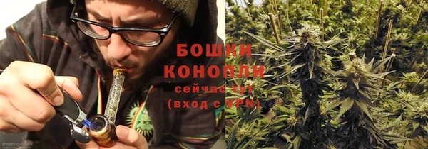 мдпв Ельня