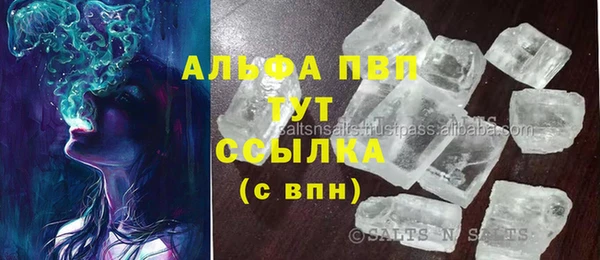мдпв Ельня