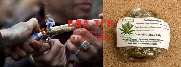 мдпв Ельня