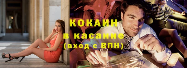 мдпв Ельня