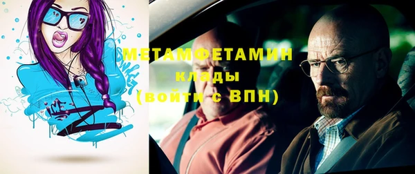 мдпв Ельня