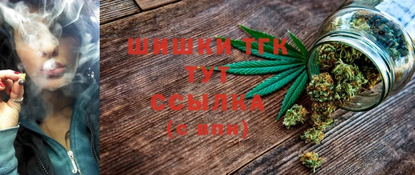 тгк Елабуга