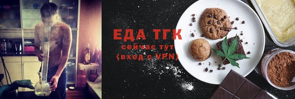 мдпв Ельня