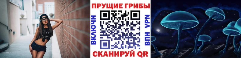 Купить где  Карабаново  Галлюциногенные грибы мицелий 